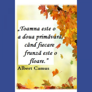 Mesaj de felicitare