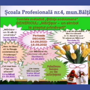 Decada „Științe socioumane”